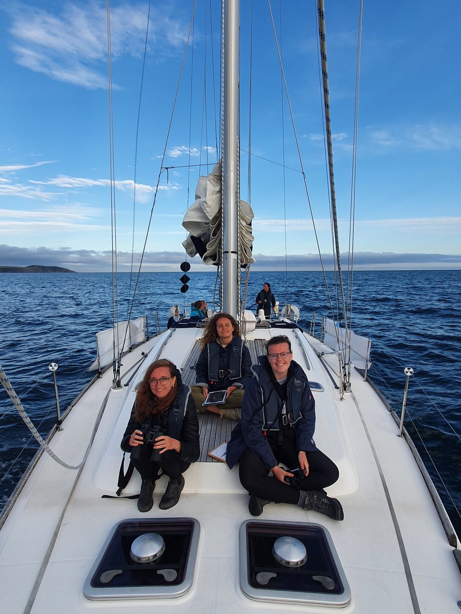 Marine Verts Unit (@marineverts) on Twitter photo On our #marinemammal survey with <a href="/PlymUni/">University of Plymouth</a> #marinebiology & #conservation students at last! Common #dolphins, #porpoises and a #minke #whale on day 1 :) Check out our blog by <a href="/twosealions/">Louise-Océane Delion</a> facebook.com/17288375957466… <a href="/MBERC_PlymUni/">MBERC</a> On our #marinemammal survey with <a href="/PlymUni/">University of Plymouth</a> #marinebiology & #conservation students at last! Common #dolphins, #porpoises and a #minke #whale on day 1 :) Check out our blog by <a href="/twosealions/">Louise-Océane Delion</a> facebook.com/17288375957466… <a href="/MBERC_PlymUni/">MBERC</a>
