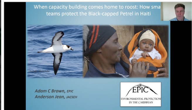 BirdsCaribbean's tweet image. We were happy to participate in #2021AOS_SCO this past week with a 3-part Symposium: &quot;Resilient Caribbean birds: Surviving and thriving in a challenging world.&quot; We highlighted several projects that we are proud of, like this one in #Haiti @andersonjeanht @EPICislands @AmOrnith