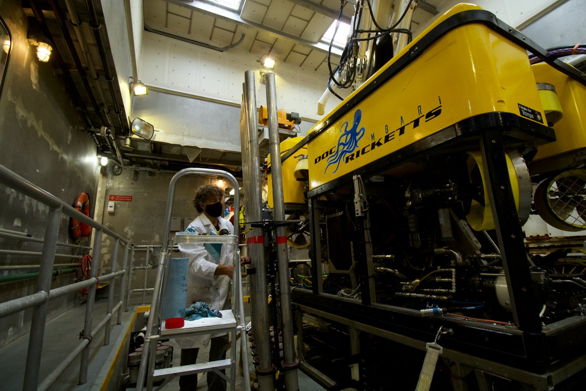 MadisonJPobis's tweet photo. Cruise thread ahead🚢🧵!

Greetings from @MBARI_news R/V Western Flyer! I'm aboard with a team of geologists and scientists from MBARI and @USGS who are using high-resolution mapping and sediment cores to better understand the geologic activity in the Cascadia Subduction Zone https://t.co/w71ce17xAw