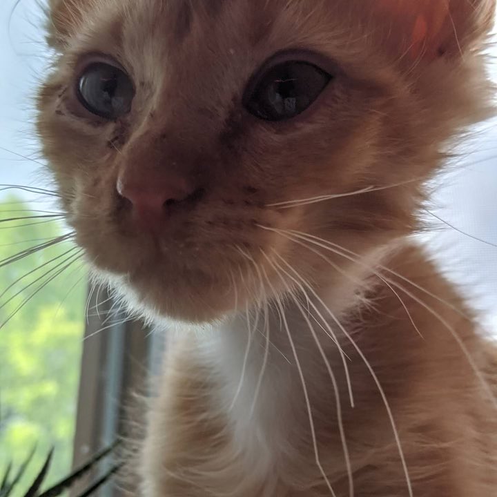 littlemanbubs's tweet photo. Moar baby me 🥰 https://t.co/eI1IrjOuZY