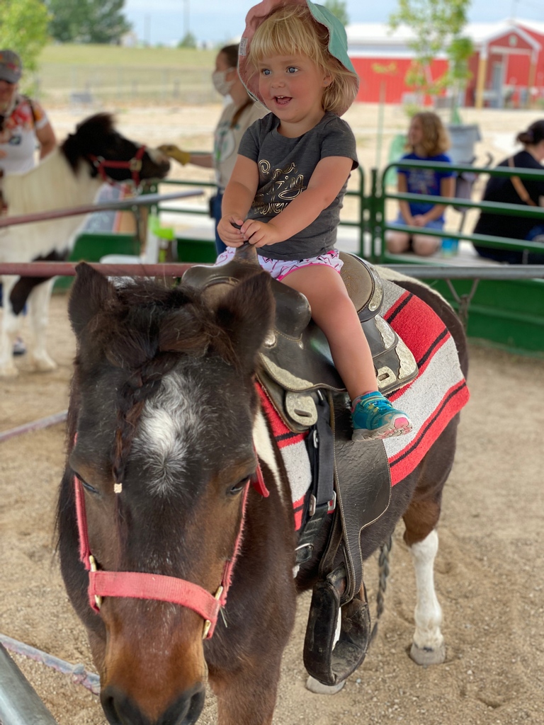 BabbyFarms's tweet photo. We are very sorry to announce that there will be no pony rides this weekend 😔
However, there will still be animal encounters! Join us at 10   for sloths, 12 for otters, and 2 for primates this Saturday and Sunday! Click here purchase tickets: https://t.co/k5UOJakqqa https://t.co/fzsfZVGWCC
