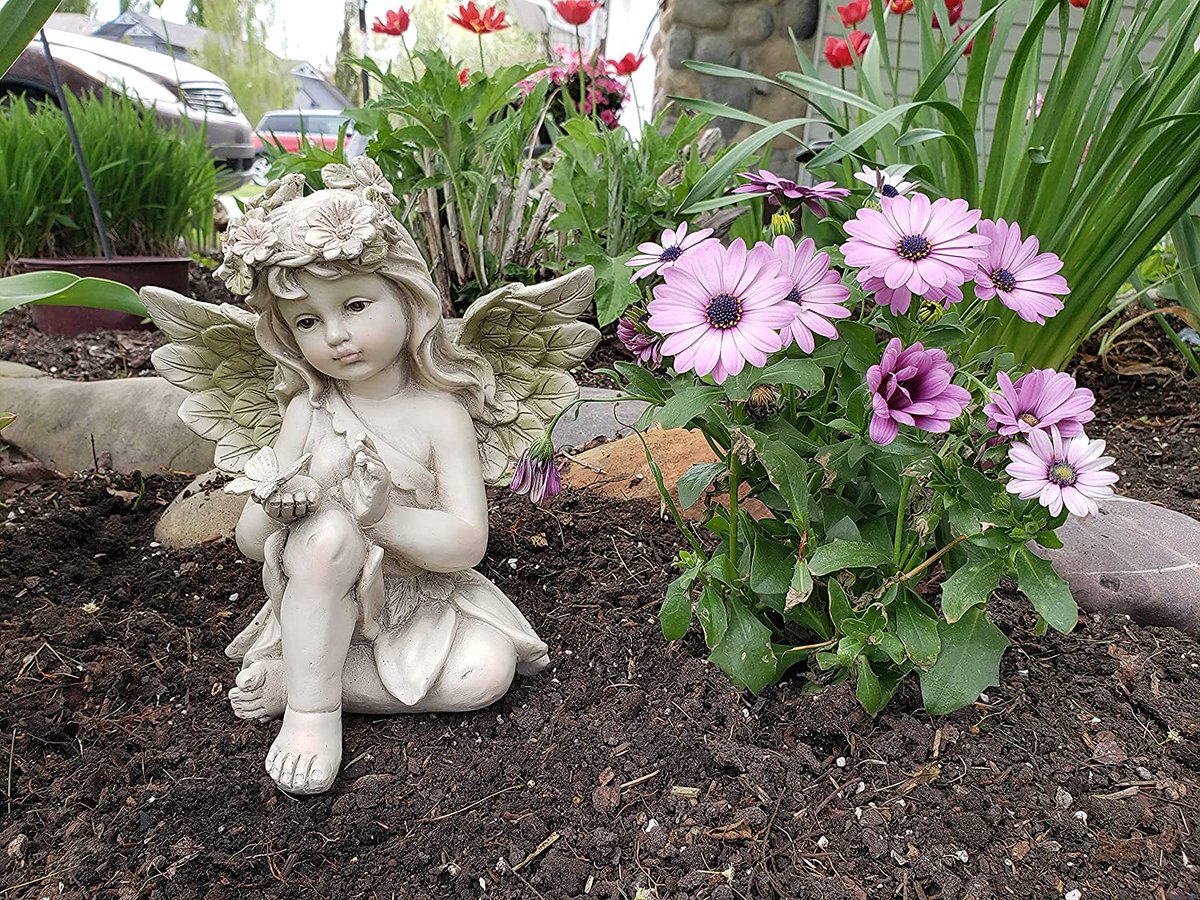 CompostAnd's tweet image. THESE OUTDOOR STATUES are PERFECT for occasions such as gifts for mom, house warming gifts, grandma gifts or garden gifts. 
.
Shop Now: amazon.ca/Garden.../dp/B…?
#helpful #gardening #canada #usa #products #solarpower