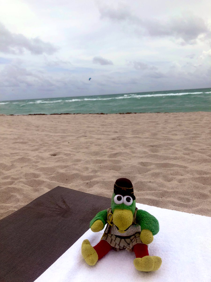 peteystink's tweet photo. 🎼 mi-ami, you���ve got style… https://t.co/PRNiT5rzVA