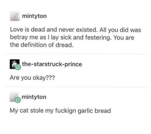 cat ate garlic