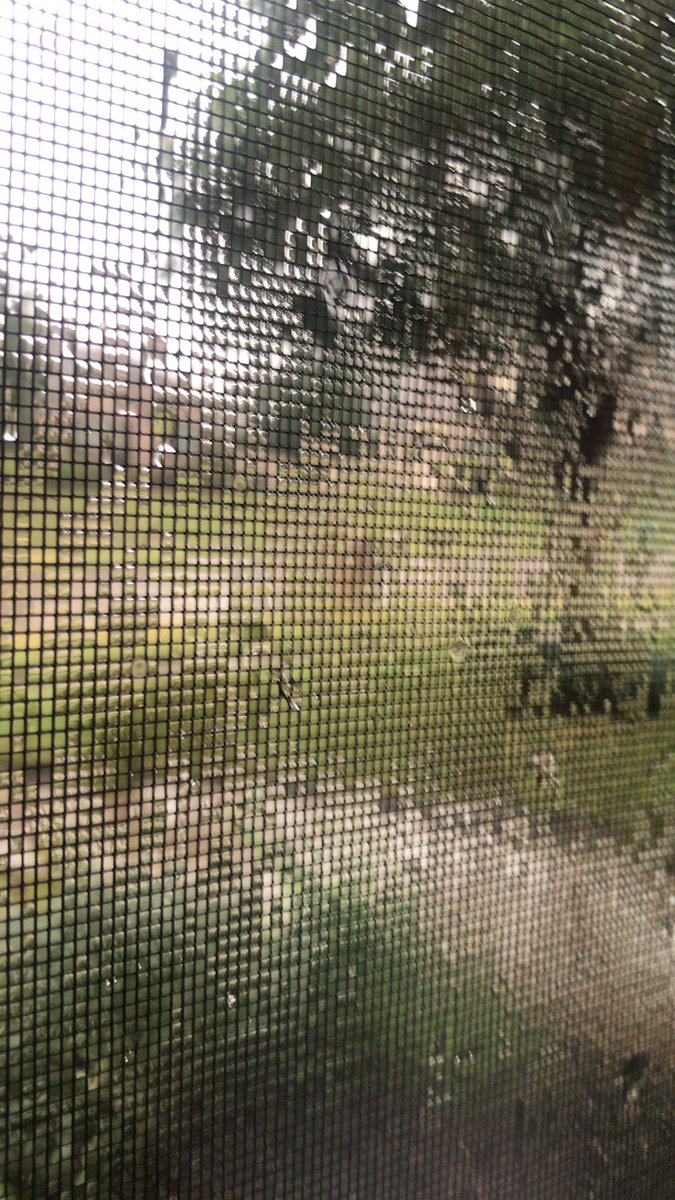 Is there anything better than the smell of the air right before a summer storm rolls through?

And taking a pic through your screen when it’s raining algae an interesting mosaic effect. 📸