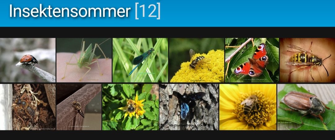 Noch bis einschließlich 15. August (Sonntag) können Sie erneut das Summen und Brummen in Ihrer Umgebung entdecken und dem NABU melden. Der Nachmeldezeitraum endet am 22. August. nabu.de/tiere-und-pfla…
Zum üben:
berlin-bildergalerie.de/index.php?/tag…