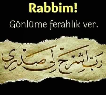 İnsan insana yüreği kadar yakındır mesafelerin hükmü yoktur...

#TwitterWorld  iyi akşamlar 🌹