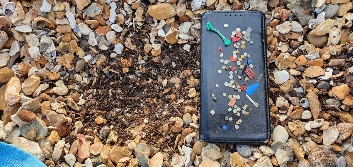 thebuginspector's tweet photo. I always think how lucky I am when I see tweets from @LegoLostAtSea that I live a stones throw from a non-plastic strewn beach.
Today I realised my local plastic is just beneath the surface.
All this from that small scrape in just a couple of minutes. https://t.co/Qc2dUIcmZ1