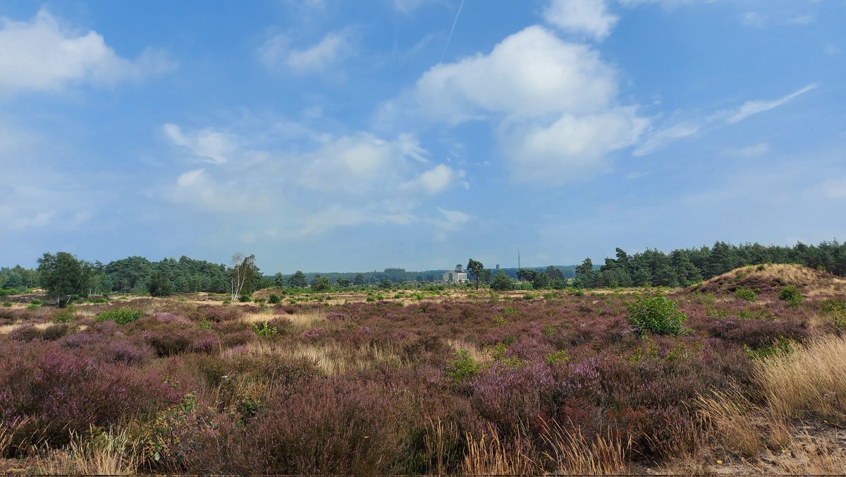 #tragetocht Hoog Buurlo: de onbegrensde Veluwe in optima forma @tragetochten @WolfsWandelplan