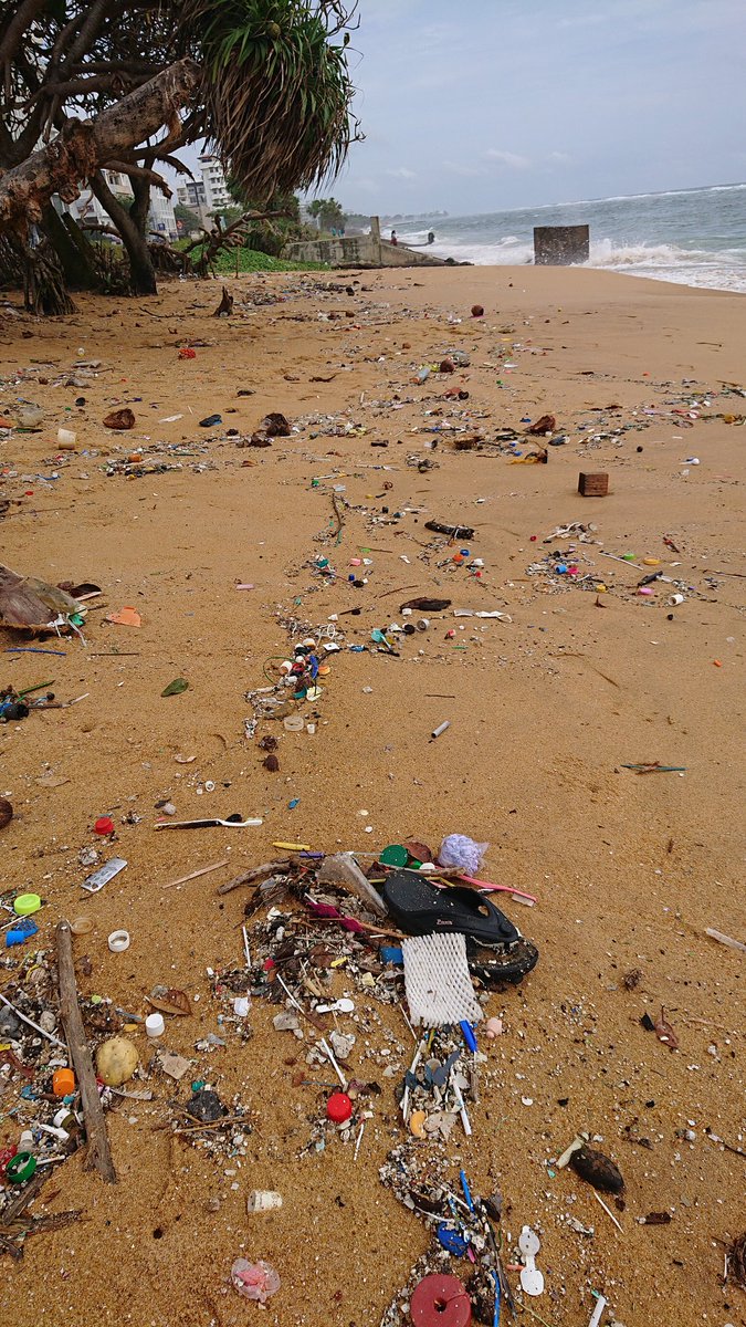PearlProtectors's tweet image. This is the status of Wellawatta Beach today

Tons of plastic waste have washed ashore while coastal erosion is taking place near Kinross Beach

#wellawatta #beachpollution #beachcleanup #medicalwaste #srilanka #plasticpollution #saynotoplastic #microplastics #singleuseplastic