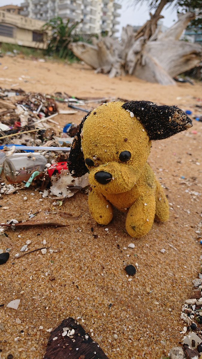 PearlProtectors's tweet image. This is the status of Wellawatta Beach today

Tons of plastic waste have washed ashore while coastal erosion is taking place near Kinross Beach

#wellawatta #beachpollution #beachcleanup #medicalwaste #srilanka #plasticpollution #saynotoplastic #microplastics #singleuseplastic