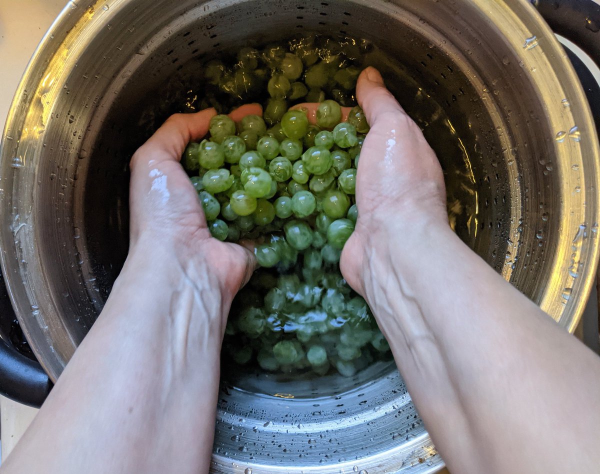 When the squirrels leave you some grapes, you make jelly!