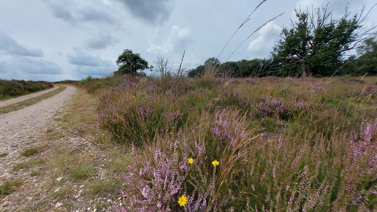 #kampeergeluk op en rond natuurkampeerterrein <a href="/Zegenoord/">Zegenoord</a> op de #Loenermark <a href="/glk/">GLK&</a> <a href="/ArjenInfo/">Arjen Daalhuisen .</a> <a href="/HetGroeneBoekje/">Natuurkampeerterreinen</a>