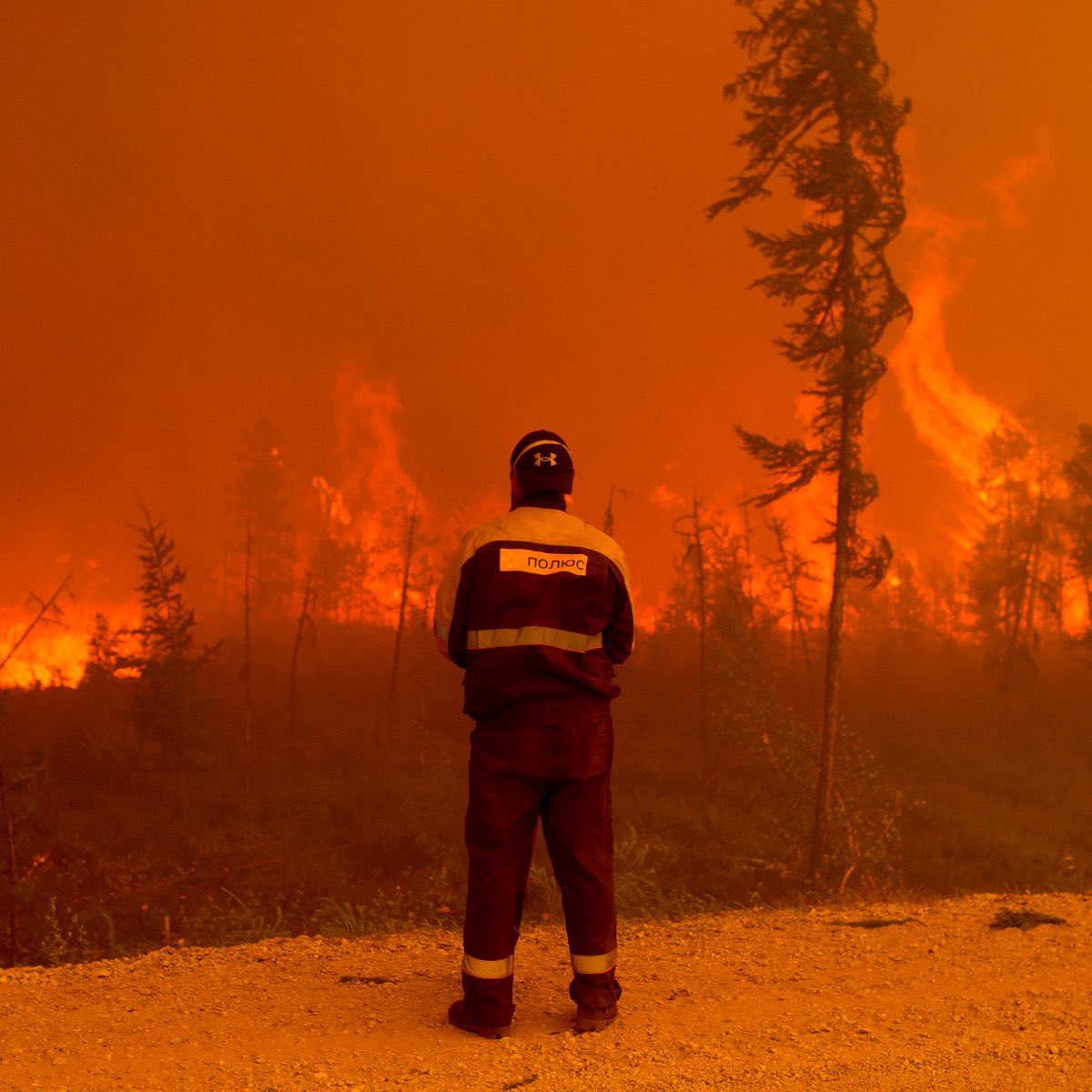 MikeHudema's tweet photo. Siberia is burning
Greece is burning
Turkey is burning
West coast is burning.
Heatwaves are baking us. 
Current actions are not enough. 

Why are we being left to stare into a red, smoke filled sun and being met with silence?

#ActOnClimate

@JoeBiden @JustinTrudeau @BorisJohnson https://t.co/lc2tD0A488