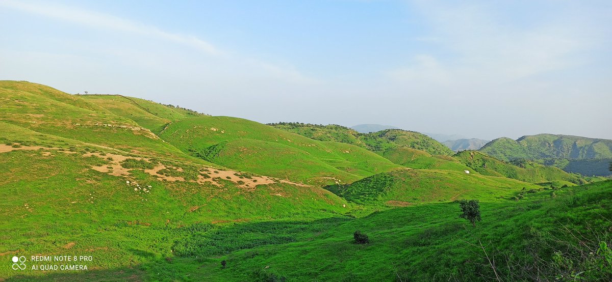 ankityadavknp's tweet photo. बहुत लोगो ने अपनी जान गंवाई हैं इस दिन के लिए,,
मेरी ट्विटर फैमिली आप सबको बधाई हो आजादी की 
#मेरा_भारत_महान

 https://t.co/ybku5s0v3b