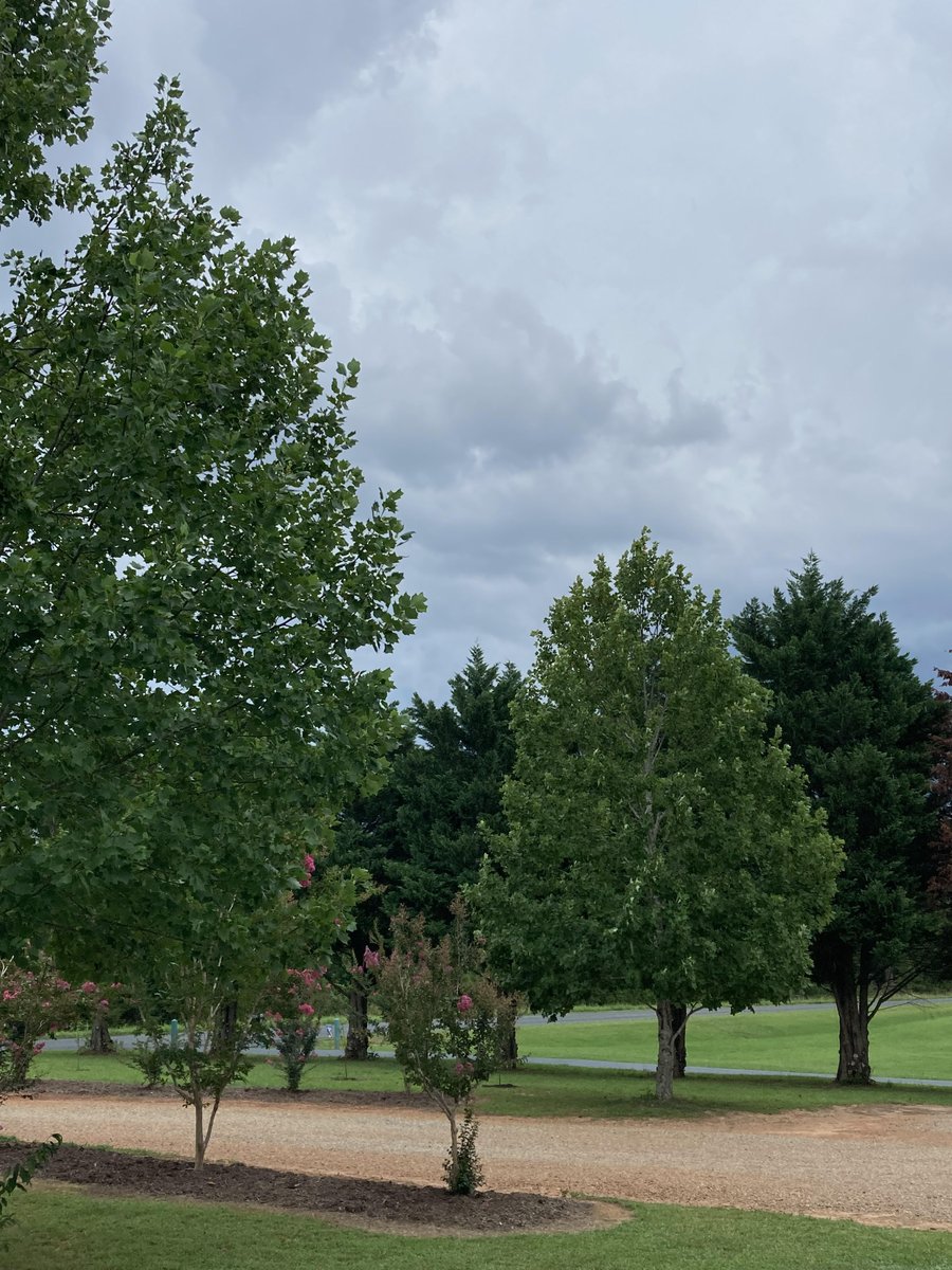 Cliff Jones tweet media