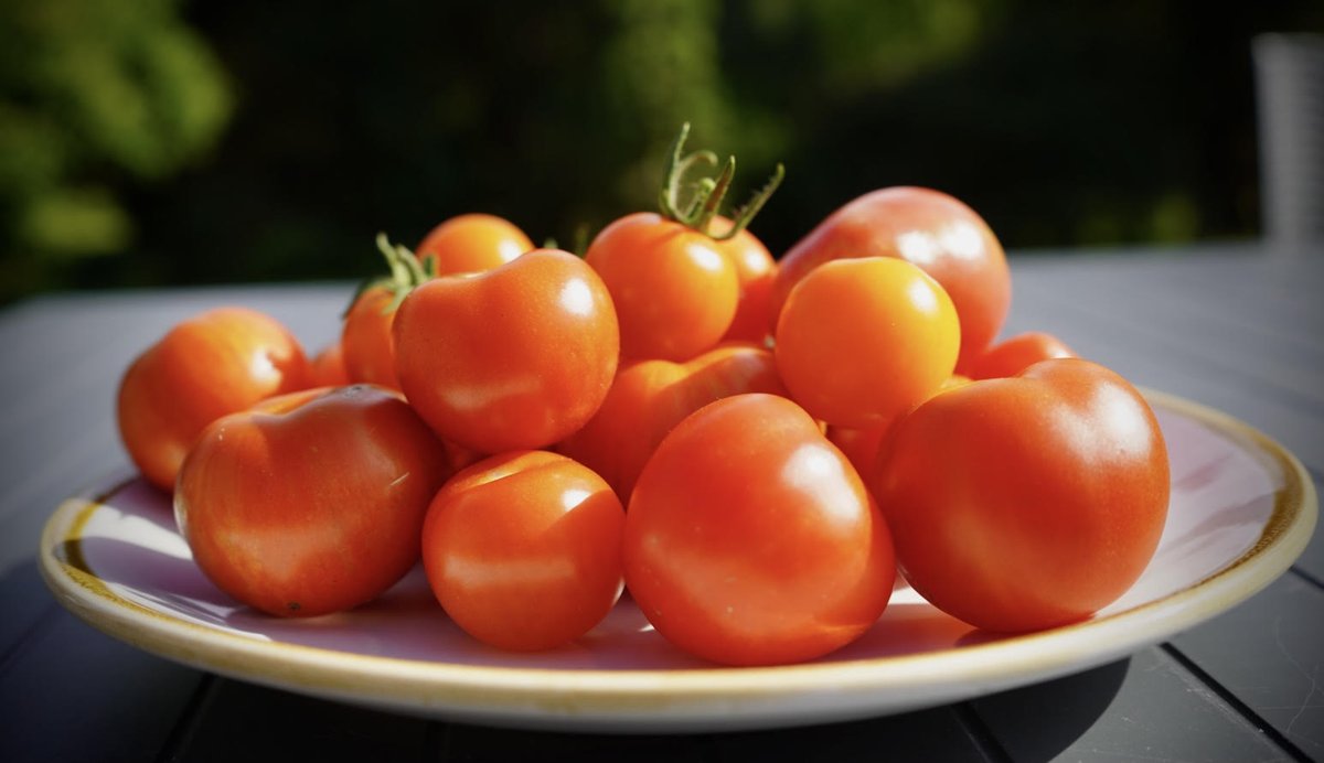 We have a great day planned for Sunday down at the Bothy Cafe. From 11:30am-3pm we are welcoming two local performers for some live music down on the terrace. Hopefully we'll get some sunshine too!