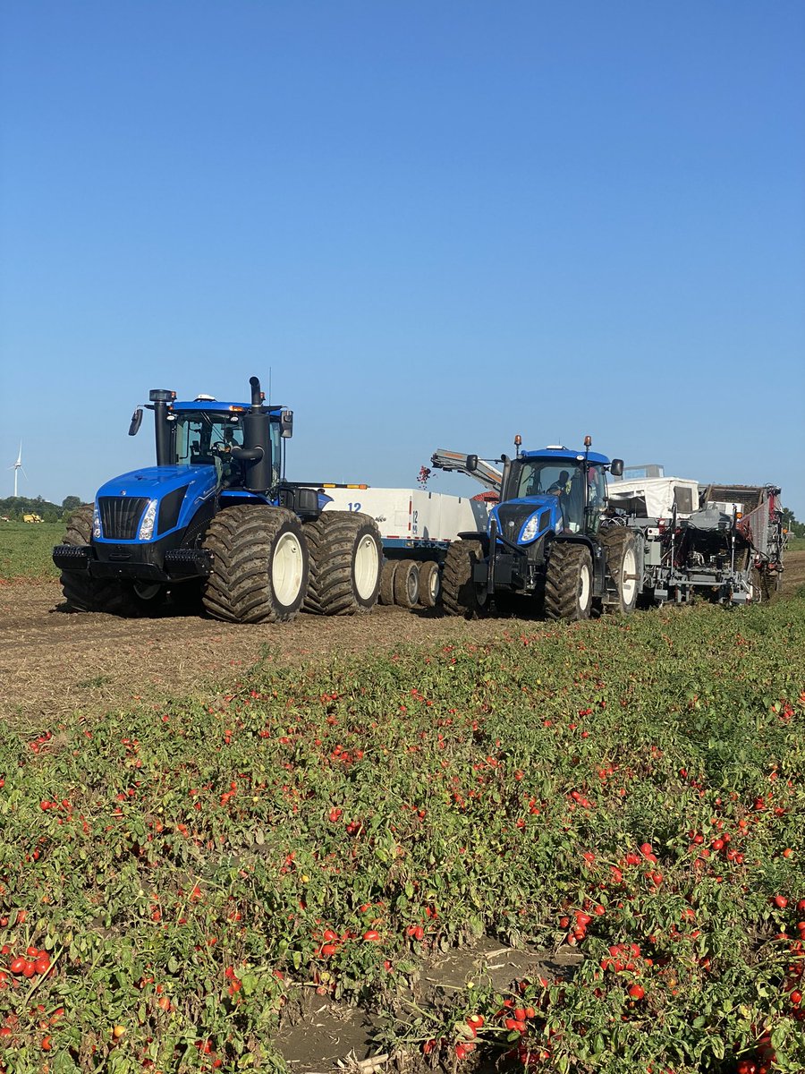 madfarms's tweet photo. Second day was better than the first https://t.co/oQHQhYX25f