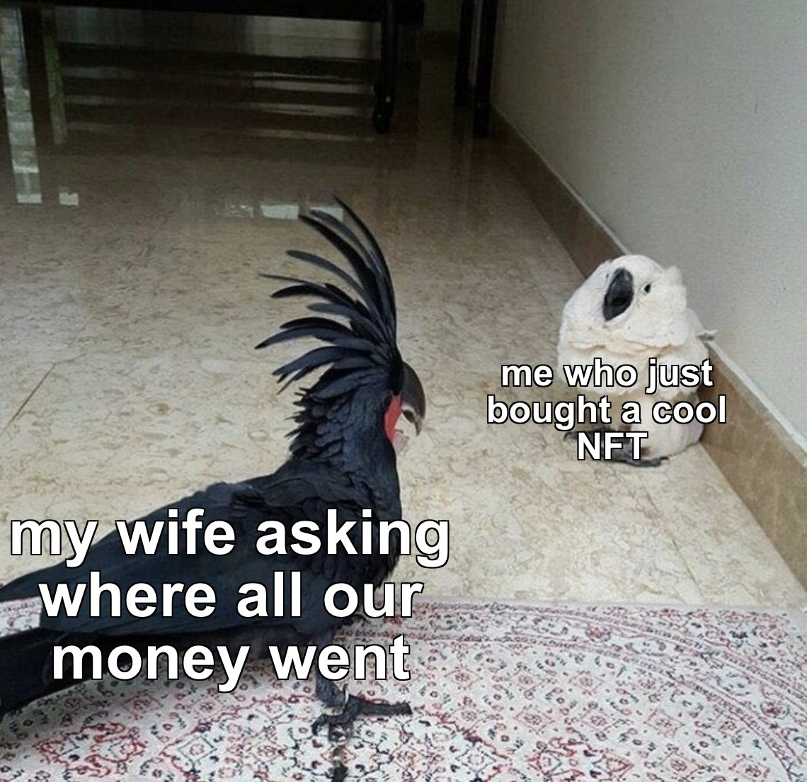 DiscoverCrypto's tweet photo. Babe I'm investing. https://t.co/LgXl5yHJSc