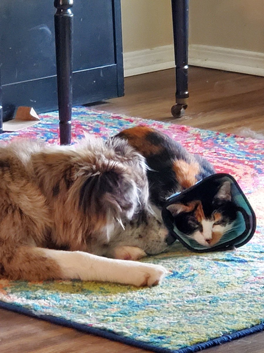 don909tiny's tweet image. #SaturdayVibes