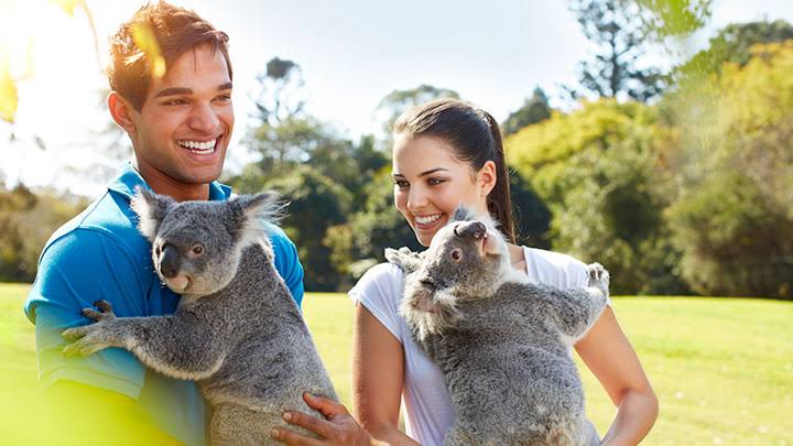 Люди в центре австралии. Лоун Пайн коала. Счастливые австралийцы. Коала с человеком. Австралия люди.