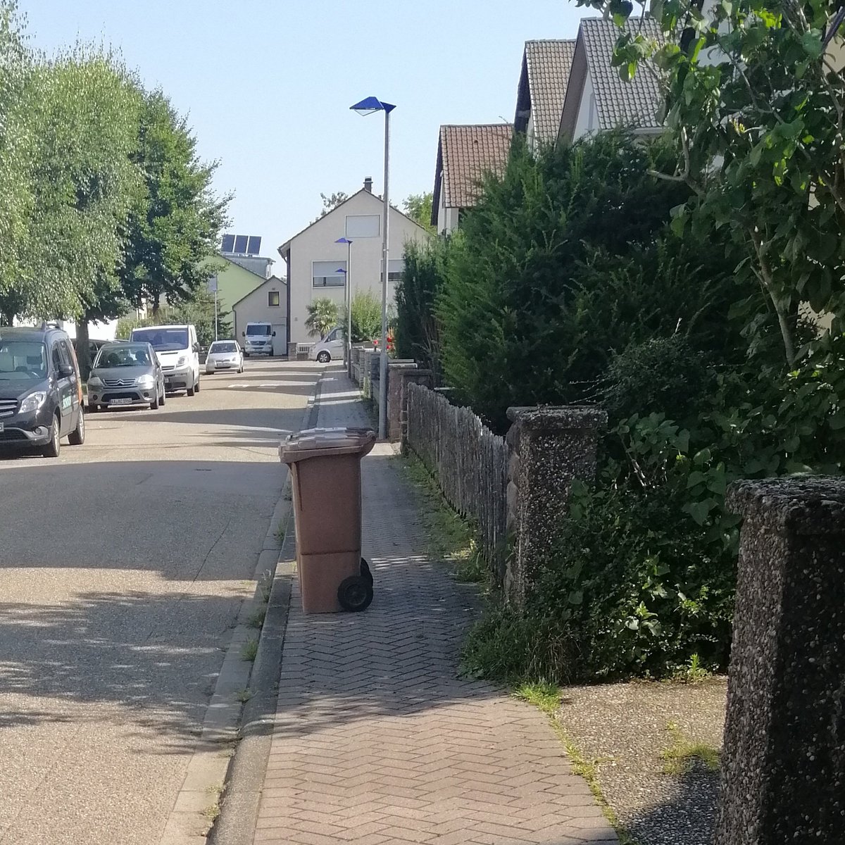 Baerry Be tweet media