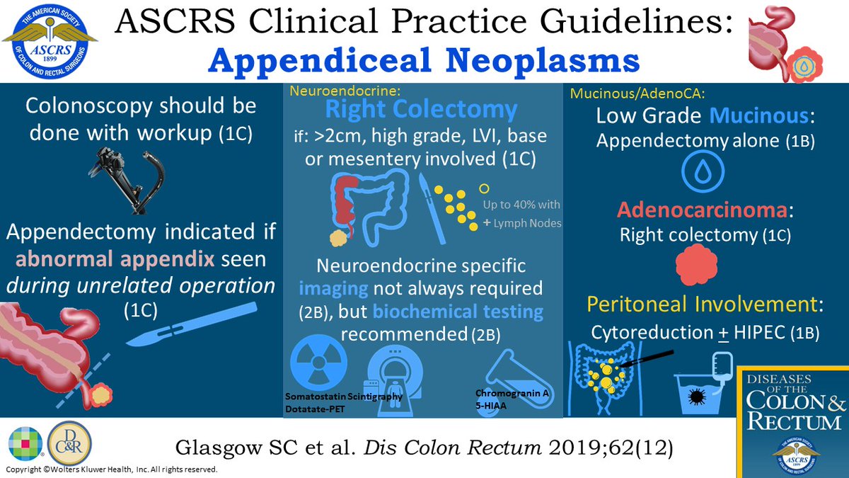 DCRjournal (@dcrjournal) on Twitter photo The American Society of Colon and Rectal Surgeons, Clinical Practice Guidelines for the Management of Appendiceal Neoplasms highlighted in a #DCRJournal visual abstract: bit.ly/3fKWKXd
<a href="/KyleCologne/">Kyle Cologne</a> <a href="/dubaicolorectal/">Maher A. Abbas, MD, FACS, FASCRS, FPSCRS-Honorary</a> <a href="/SamAtallahMD/">Sam Atallah, MD</a> <a href="/debby_keller/">Debby Keller, MD</a> @Swexner <a href="/ASCRS_1/">ASCRS_1</a> The American Society of Colon and Rectal Surgeons, Clinical Practice Guidelines for the Management of Appendiceal Neoplasms highlighted in a #DCRJournal visual abstract: bit.ly/3fKWKXd
<a href="/KyleCologne/">Kyle Cologne</a> <a href="/dubaicolorectal/">Maher A. Abbas, MD, FACS, FASCRS, FPSCRS-Honorary</a> <a href="/SamAtallahMD/">Sam Atallah, MD</a> <a href="/debby_keller/">Debby Keller, MD</a> @Swexner <a href="/ASCRS_1/">ASCRS_1</a>