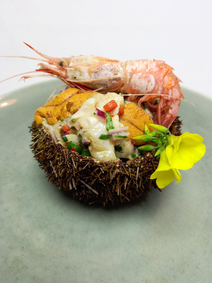 chef_edgardo's tweet photo. Otra nueva perspectiva.!!🤗😋
#Ceviche de #PescadodeRoca ,#Cascajo , #CamarónNailon y #LenguasDeErizo con productos regionales .🤗🥰
#ChefEdgardoAguilera #ChefRegional #FomentadorRegional #AportandoalaRegión  #ChefInfluencers #LaSerena #RegióndeCoquimbo #Chile https://t.co/RCUujVJ9Jj