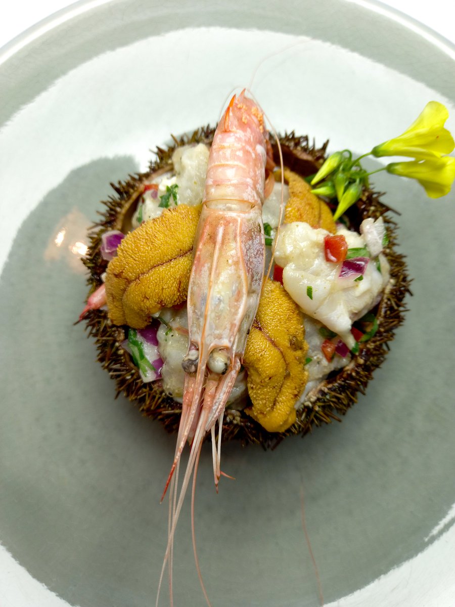 chef_edgardo's tweet photo. Otra nueva perspectiva.!!🤗😋
#Ceviche de #PescadodeRoca ,#Cascajo , #CamarónNailon y #LenguasDeErizo con productos regionales .🤗🥰
#ChefEdgardoAguilera #ChefRegional #FomentadorRegional #AportandoalaRegión  #ChefInfluencers #LaSerena #RegióndeCoquimbo #Chile https://t.co/RCUujVJ9Jj