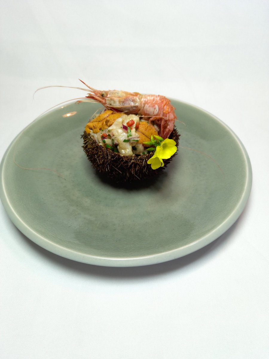 chef_edgardo's tweet photo. Otra nueva perspectiva.!!🤗😋
#Ceviche de #PescadodeRoca ,#Cascajo , #CamarónNailon y #LenguasDeErizo con productos regionales .🤗🥰
#ChefEdgardoAguilera #ChefRegional #FomentadorRegional #AportandoalaRegión  #ChefInfluencers #LaSerena #RegióndeCoquimbo #Chile https://t.co/RCUujVJ9Jj