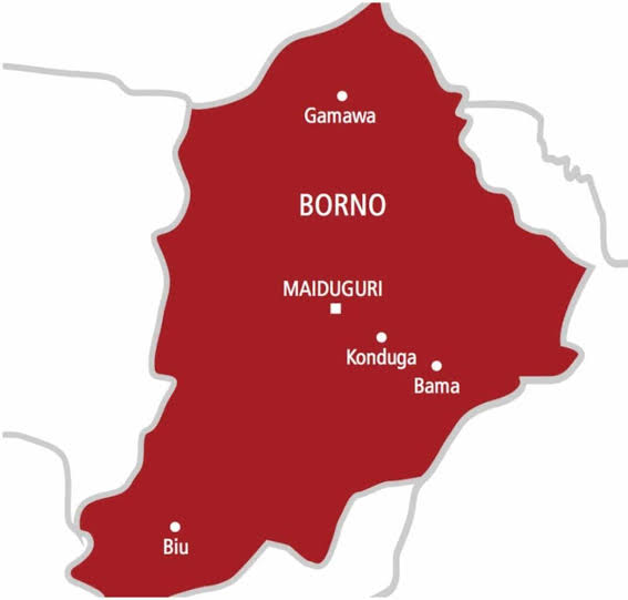 Another set of Boko Haram/ISWAP Insurgents alongside their families surrendered to Nigerian Troops today in Mafa, Borno State.

More details Later.
