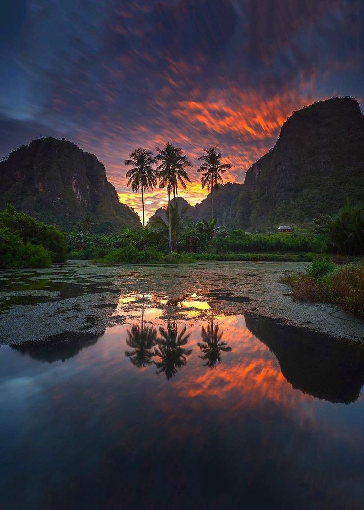 s. u. n. s. e. t. (@sunset731) on Twitter photo 