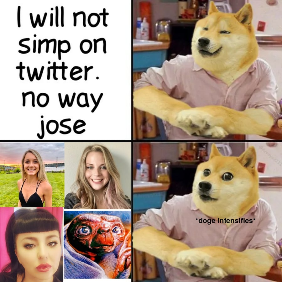 MilgateTyler's tweet photo. Anyone need a hypeman? I make gud memes and stuff 💯🤣🤣
#dogecoin #dogearmy #doge #dogecoinrise #DogecoinToTheMoon https://t.co/pHR6uMRBTj