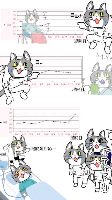 #現場猫 #看護師
予感はしていた。 
