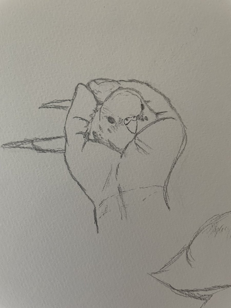 模写にハマってた頃の絵出てきた 