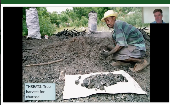 BirdsCaribbean's tweet image. The #BlackCappedPetrel faces several challenges on the island of #hispaniola : among these are intensive agriculture and deforestation - charcoal burning. Adam Brown explained at #2021AOS_SCO its conservation project with partners @EPICislands @andersonjeanht @AmOrnith
