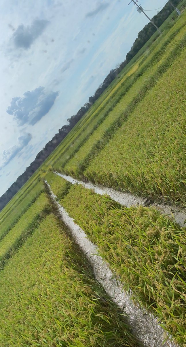 dylansecrease91's tweet image. Pull the plug