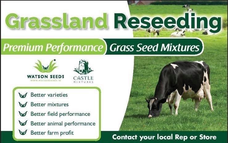 🌱 Watsons Grass Seed 🌱

✅ August is the perfect opportunity to reseed ✅

🌱 Better varieties
🌱 Better mixtures 
🌱 Better field performance
🌱 Better animal performance
🌱 Better farm profit 

#southernfuels #grassseed #silage #dairy #beef