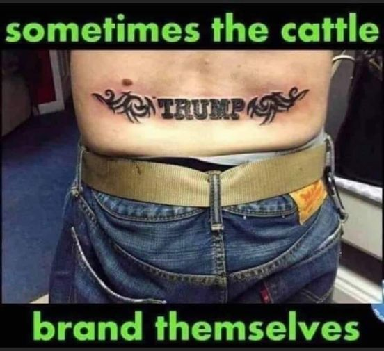 E8yCLLwXIAMdpB4?format=png&name=small