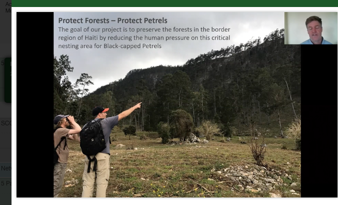 BirdsCaribbean's tweet photo. Conservation goal is to protect forests in the border region of #Haiti - forests are nesting habitat for #BlackCappedPetrel or #Diablotin says Adam Brown of @EPICislands - presenting on this project at #2021AOS_SCO @AmOrnith @andersonjeanht https://t.co/jncuurW91i