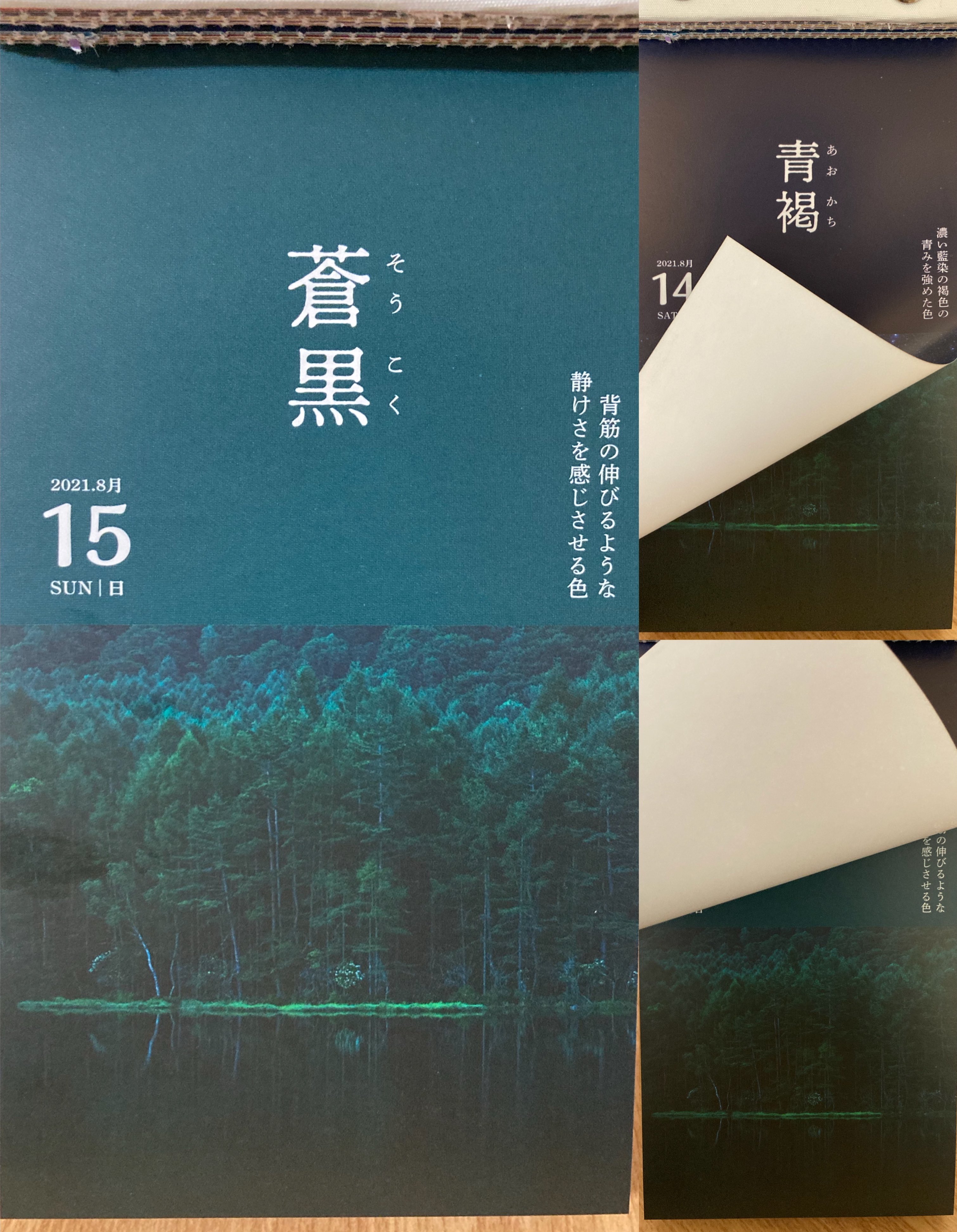 白石涼子 おはようございます にっぽんのいろ 日めくりカレンダー 蒼黒 濃く深い青緑色 青よりも緑 の方が強く色が出ている 暗闇を形容する言葉として 蒼黒 あおぐろ い という表現がたびたび文学作品に用いられてきた 蒼は なんでかわからないけど