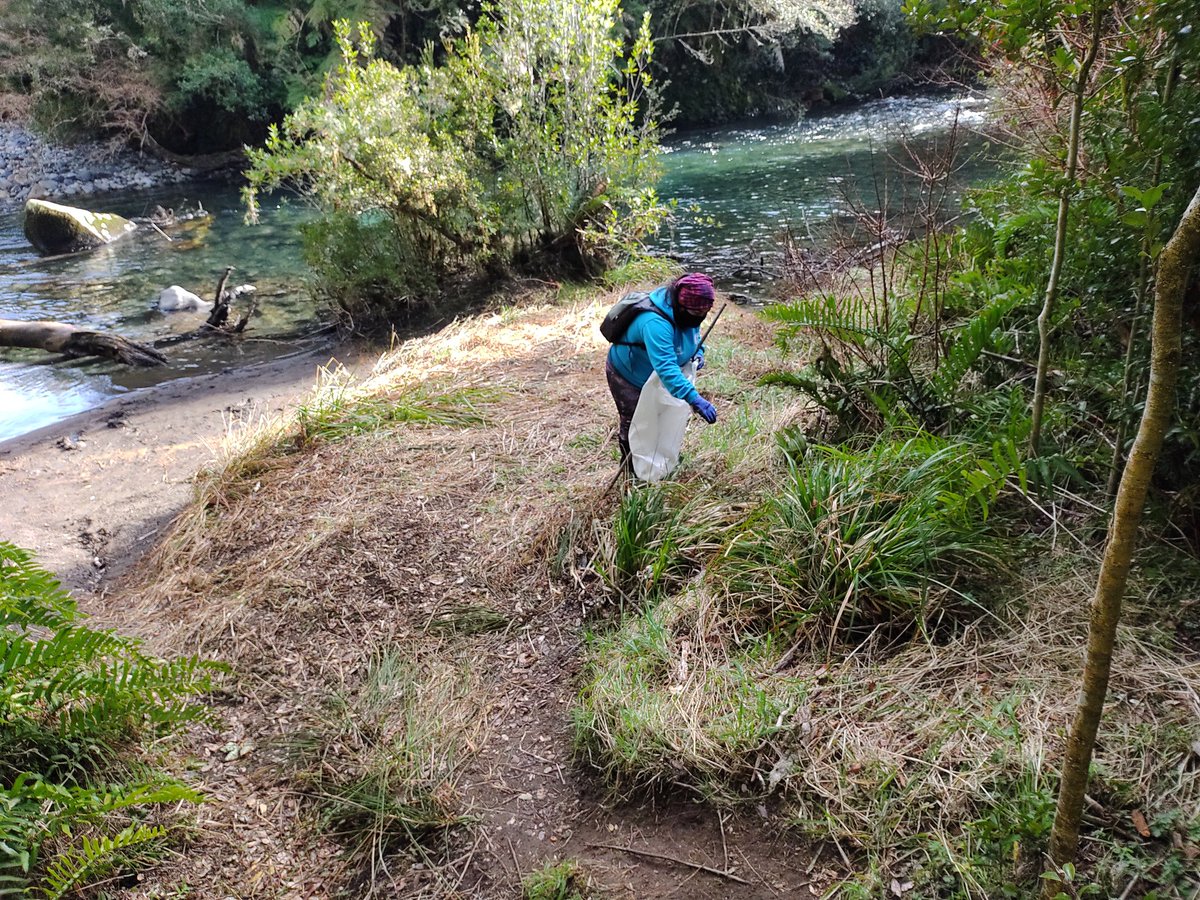 Hoy día realizando una limpieza de senderos y caminos en el #ParqueNacionalPuyehue 
Junto al Deportivo Andino Futañil de Puyehue 😁💪🏻
Cuidando nuestro medio ambiente @ELTIEMPOCHV <a href="/Caroinfante1/">Carolina Infante</a> <a href="/michelleadamv/">Michelle Adam V.</a> <a href="/vanessanoea/">Vanessa Noé</a> <a href="/Sepulinares/">Alejandro Sepúlveda Jara</a> <a href="/_catalinacm/">CataDeLosCerros🏔</a> <a href="/Geosorno01/">🚨Emergencias Osorno GEO</a> <a href="/osornonoticias/">OSORNONOTICIAS</a>