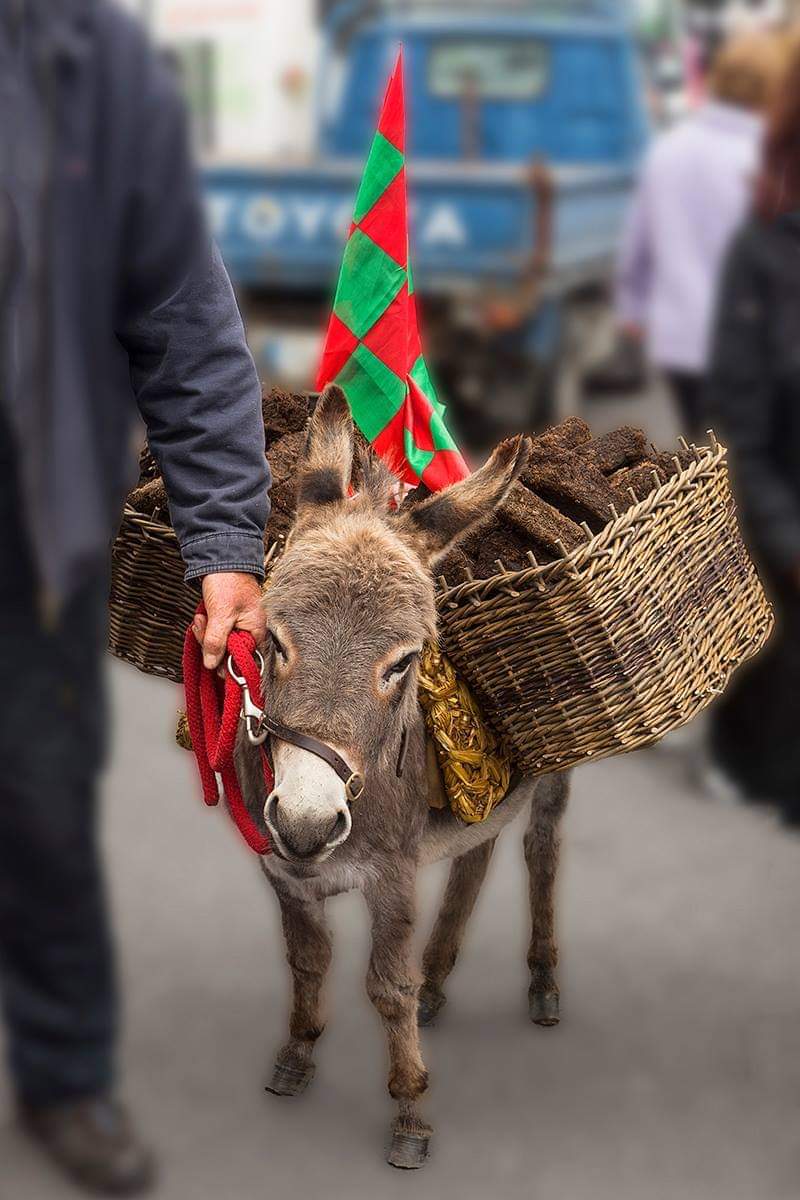 JarlathJudge's tweet photo. #mayoforsam #mayogaa #Mayo4Sam #UpMayo https://t.co/gYkxypmxso