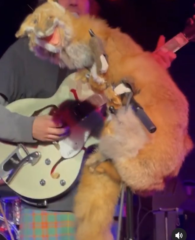 HarrisHaggarty's tweet photo. HAVE YOU SEEN ME?

My name is Jeremy and I was stolen last night from a Covey concert in Ridgewood, New York at TV Eye. I’m a crunchy taxidermy fox with one toe on each foot. I’m much beloved by hundreds of people who want me home safe. :(

#FindJeremy https://t.co/cMb8lJCQop