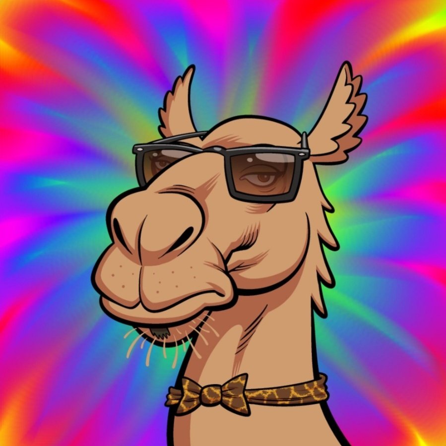 Cryptokitty77 tweet picture