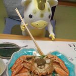 ツイートに含まれる画像