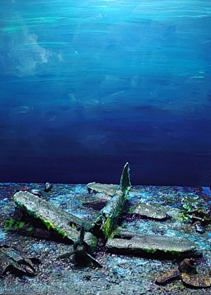 題「海底に眠るゼロ戦」 南太平洋、チューク諸島の海底に眠るゼロ戦を