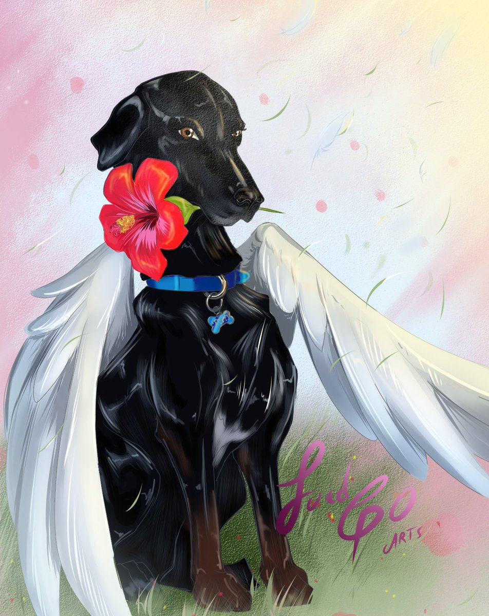 luedgo's tweet photo. Me había ausentado xD y eso que me dije que haría mas publicaciones.
Acá una pintura digital para @magicalfabi
#dog #angel #cayena #kayena #painting #digital #supportme #commission https://t.co/q3MbIJpl1D