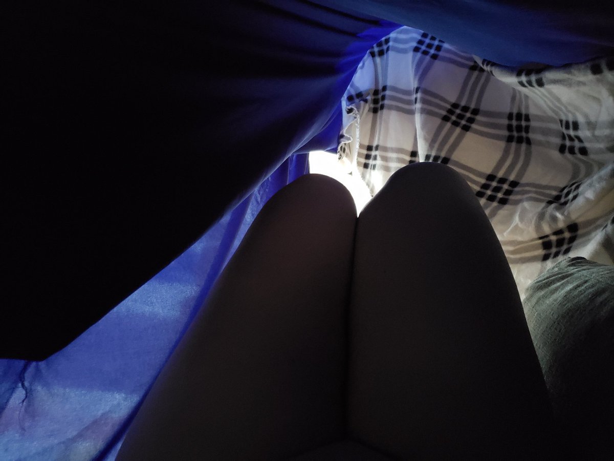 Grown ass adult making a blanket fort on a Saturday night.