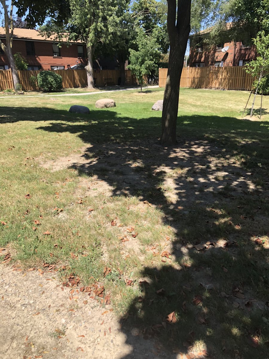 I grew up in the townhouse complex beside Balmoral PS. Went back today to walk around. We as kids use to play soccer, kick the can. Grow a baseball and frisbee in the courtyard. Also played on the lighted basketball courts until 10 or 11 at night.